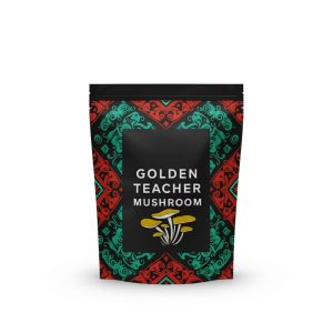 Golden Teacher Magic Mushrooms – Buy Online Golden Teacher magic mushrooms with golden caps and white stems displayed on a white background