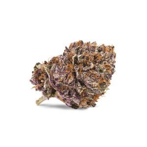 Premium Pink Kush cannabis flower on white background – Trippy Soul MarketPlace