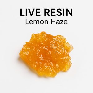 Close-up of golden, terpene-rich live resin concentrate in a glass jar — premium cannabis extract available at Trippy Soul Marketplace.