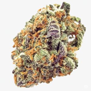 Close-up of Mimosa cannabis buds with vibrant orange hairs and frosty trichomes.