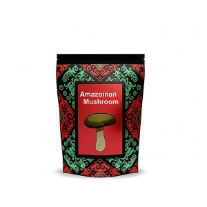 Amazonian Mushroom – Potent Psilocybe Cubensis Strain for Visual and Spiritual Journeys Dried Amazonian Mushrooms with thick stems and caramel caps on white background