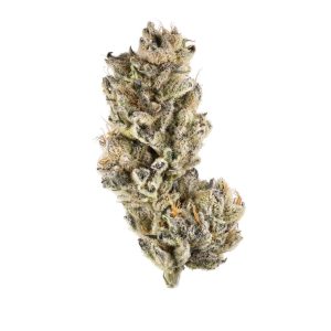 Buy Purple Punch Strain Online – Sweet Indica Hybrid – Trippy Soul MarketPlace Close-up of Purple Punch cannabis buds with deep violet tones and frosty trichomes.